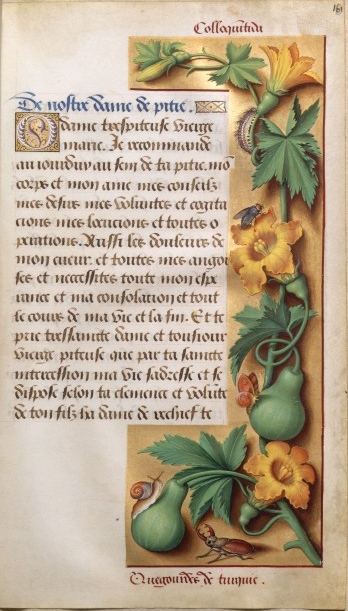 Bnf_Anne_f161