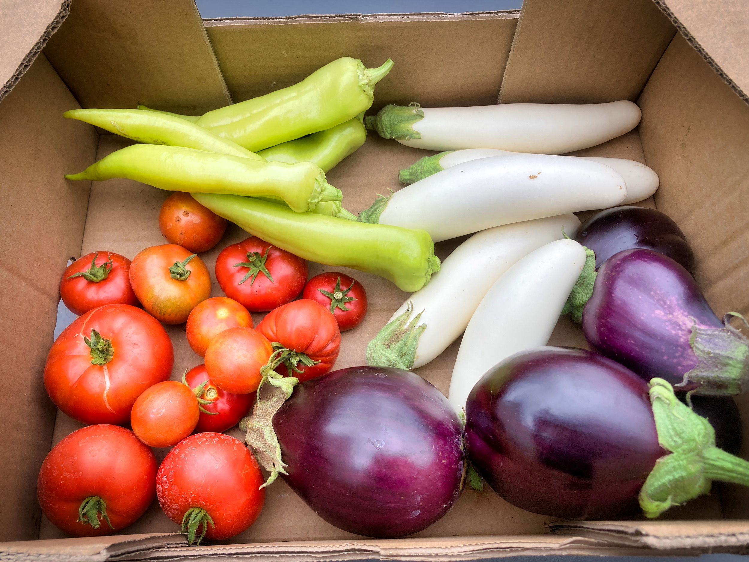 VegBoxOpt